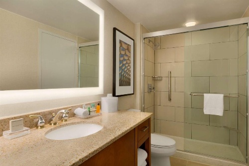 Hilton Chicago/Magnificent Mile Suites image 20